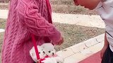 最后会发生什么事情哪……