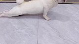 小花的演技，确实不错