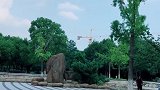 丹丹同学身材再配这身衣服，真好看