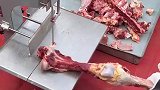 新型锯骨机，大骨头也能用