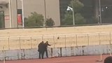 高校回应流浪狗校内遭扑杀：正核查具体情况