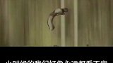 这可真是童年呢