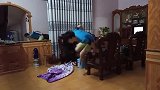 搞笑视频：注意看镜子！爆笑