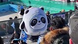灵活的胖子！原来冰墩墩可以这么灵活 能蹦这么高