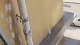 楼上的水管漏水，喷得女子空调外机都是水，只能找物业解决