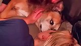 导盲犬陪着了主人那么多年，可是它就要去汪星了