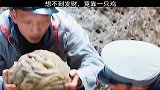 靠一只怒晴鸡，竟然可以发财
