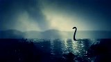 科学家新研究结果：尼斯湖水怪可能是巨型鳗鱼，排除蛇颈龙说法