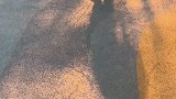 哇塞，这个滑板芥末帅