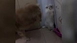 还有空关心簸箕倒了