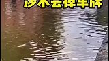 车辆行驶在积水路面时，车牌为什么会容易掉下来呢