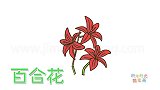 植物简笔画大全，画漂亮的百合花简笔画