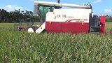 刚保养玩的收割机，试机中，一边收割一边打捆，太省人工啦