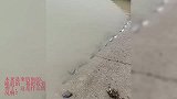 本来是来钓鱼的,但是这是什么情况啊