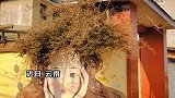墙头的三角梅开花惊艳众人