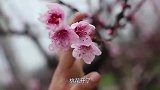 表哥请吃牛排，胖妹算是没白来，5斤牛排烤一锅，胖妹吃完笑呵呵