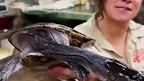 世界上脖子最长的乌龟，你有见过吗？
