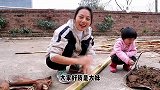 大妹设计了一个新花盆种花，这种设计太新奇了，邻居都夸好
