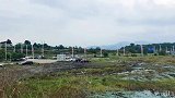 搞笑视频：祁阳来了一个大老板，开口投资就是20个亿