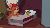 新猫和老鼠：杰瑞好心留小蟋蟀过夜，结果一晚上吵得无法入睡