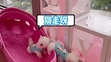 像极了你们小两口