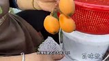 福建乡下果农现摘现熬10小时做出的果酱，手工1人1天只能熬80斤