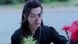 陈情令是驴引来聚灵草，聚灵草又引魏无羡来到此地真是天意！