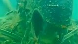海底拍摄到的异形怪物，真是太可怕了！