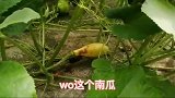 探秘荒废老屋，意外寻得原生态好东西