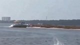 河豚被海豚当球玩，大家都是豚差别咋那么大呢