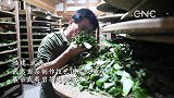 这一杯清香 请收下