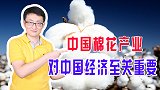 棉花产量世界第二，纺织品出口世界第一，关系中国数千万人就业