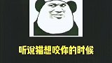 赶紧回去找你家猫试试