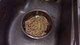 家常版爆炒鸭肠，做法简单又好吃，香辣过瘾，下酒又下饭