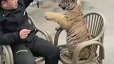愚蠢的人类你是一点面子不给我啊，你等我长大的
