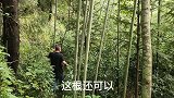 农村山上的野生果子虽然好吃，确全身带刺，这感觉真是痛并快乐着