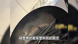 妻子让丈夫煮筷子结果烧成“碳”：筷子一根不剩 差点吃手抓饭