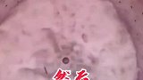 洗衣机几个月不洗比马桶还脏！我来教你怎么去清洗吧