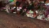 遇到牦牛缠着经帆了，不知道该救还是不该救急