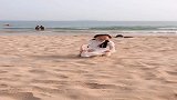 袖珍杨萍海边玩耍，看她开心的模样真可爱