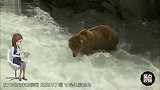 3只熊跑到水里捉鱼半天捉了1条怪尴尬的
