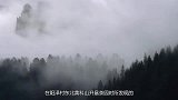 废品站抢救回来的国宝，西周云纹青铜大铙，国内罕见！