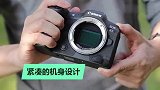 拍鸟从此再无门槛！佳能EOS,R5鸟类实拍体验