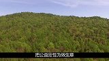 龙晶晴以山村支教身份敛财做公益还是做生意张佳梅却感动中国