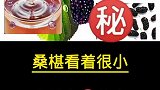 小小桑椹，真的牛