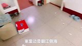 俩狗子把主人的床当成了游乐场，满床的泥土，炸了，气死人