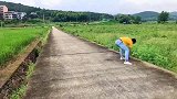 事实证明，只要楼梯画的够逼真，是能感受到通往地底的错觉