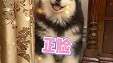 小时候这么阔耐，长大了怎么就成了母老虎