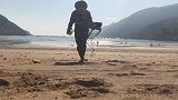 大浪淘过的沙滩，满地都是“钱”，阿诚只用了一个半小时就捡上百