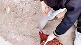 男子表演魔术惊呆众人，看见刀，吓得不敢动了吧